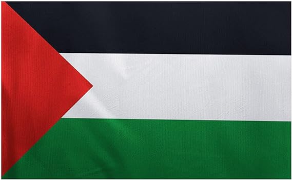 Palästina Flagge Normal