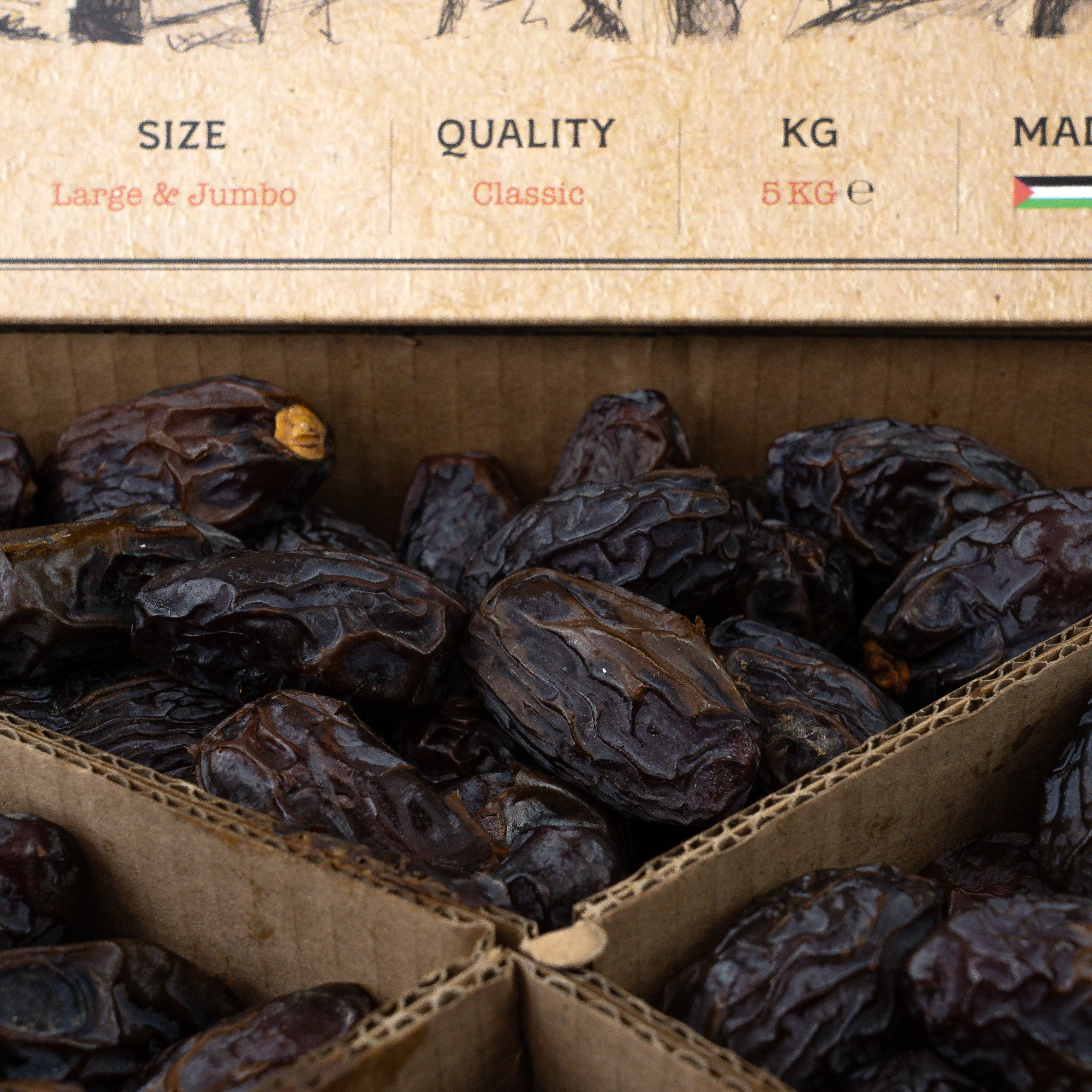 Classic Madjool Datteln - 5 Kilo